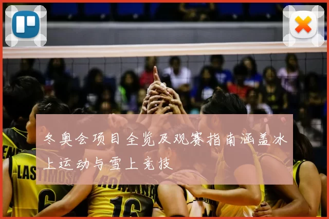 冬奥会项目全览及观赛指南涵盖冰上运动与雪上竞技