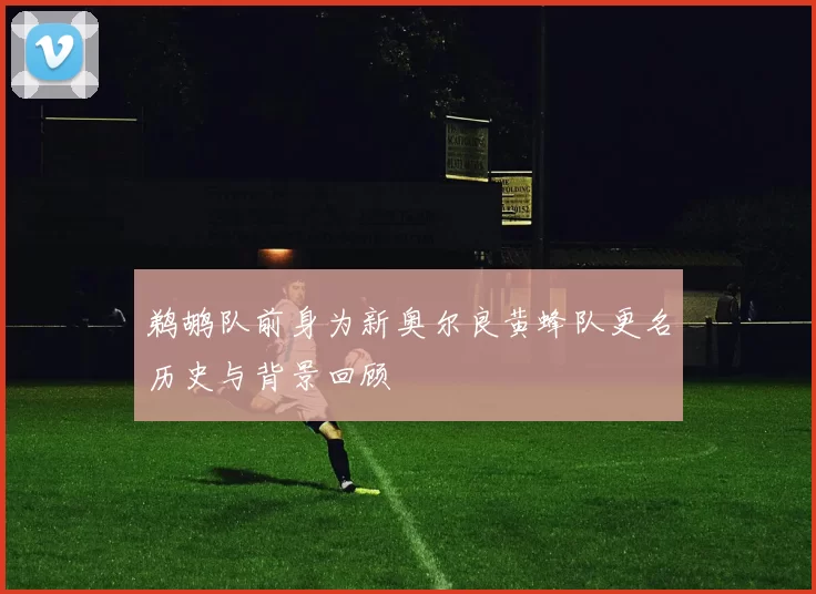 鹈鹕队前身为新奥尔良黄蜂队更名历史与背景回顾