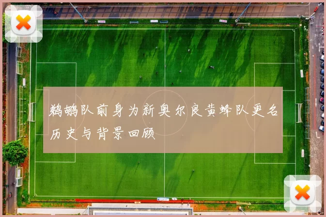 鹈鹕队前身为新奥尔良黄蜂队更名历史与背景回顾