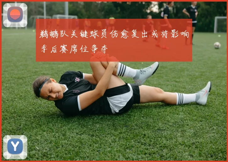 鹈鹕队关键球员伤愈复出或将影响季后赛席位争夺